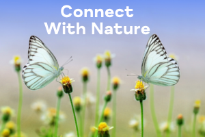 Connect With Nature