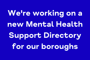 Wellbeing West London Directory Project